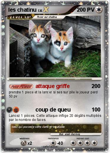 Pokemon les chatinu