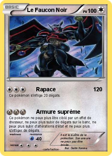 Pokemon Le Faucon Noir