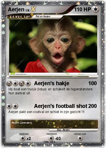Pokemon Aerjen