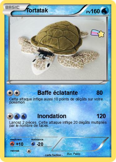 Pokemon Tortatak