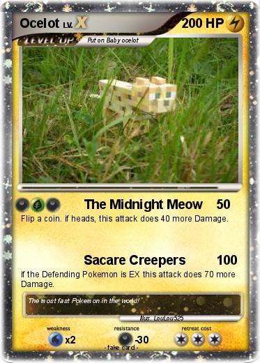 Pokemon Ocelot