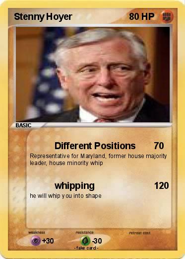 Pokemon Stenny Hoyer