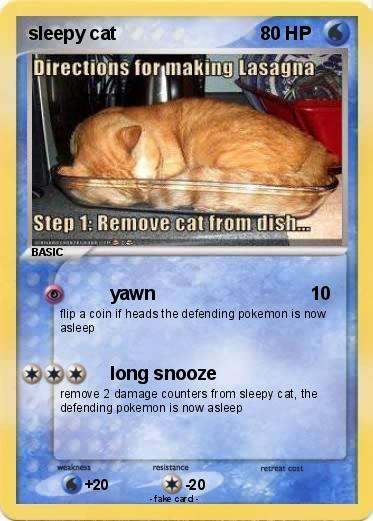 Pokemon sleepy cat