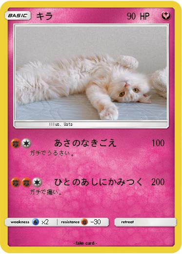 Pokemon キラ