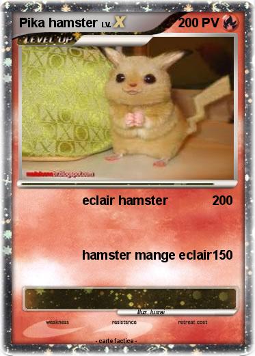 Pokemon Pika hamster