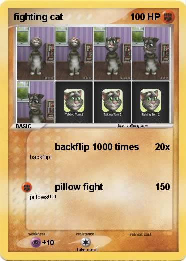 Pokemon fighting cat