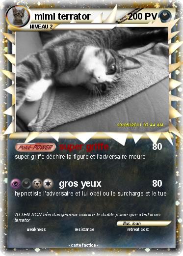 Pokemon mimi terrator