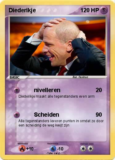 Pokemon Diederikje