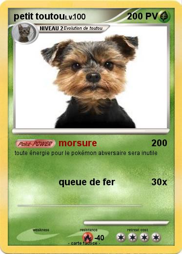 Pokemon petit toutou