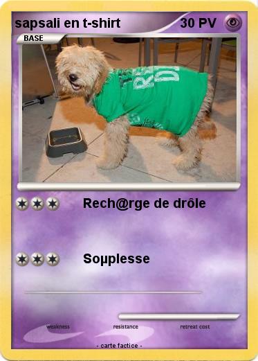 Pokemon sapsali en t-shirt