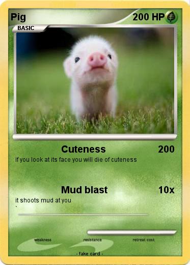 Pokemon Pig