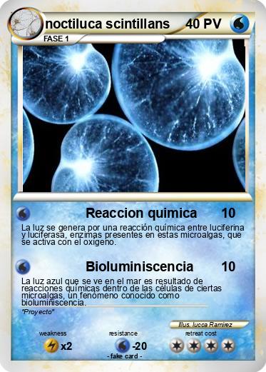 Pokemon noctiluca scintillans