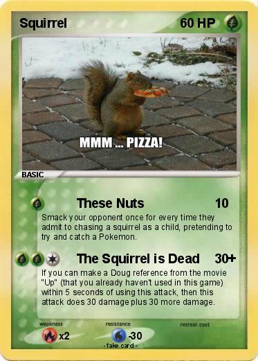 Pokemon Squirrel