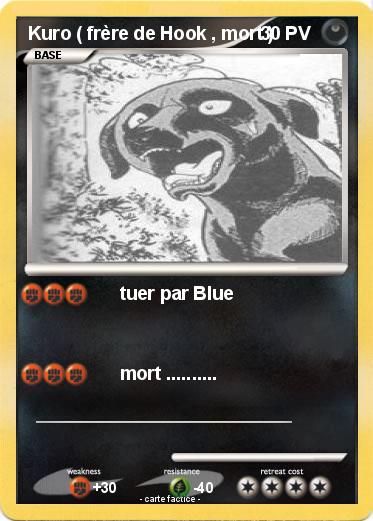 Pokemon Kuro ( frère de Hook , mort )