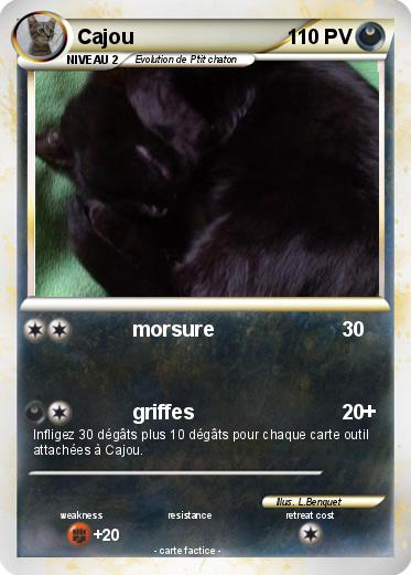 Pokemon Cajou