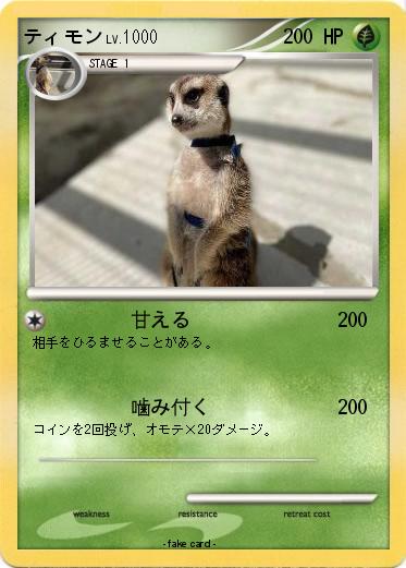 Pokemon ティモン