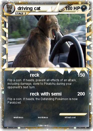 Pokemon driving cat
