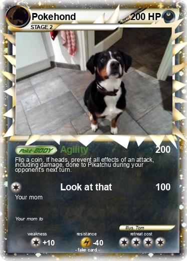 Pokemon Pokehond