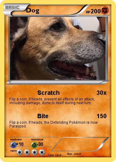 Pokemon Dog