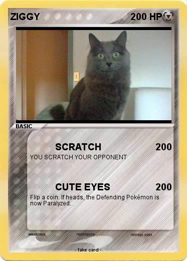 Pokemon ZIGGY