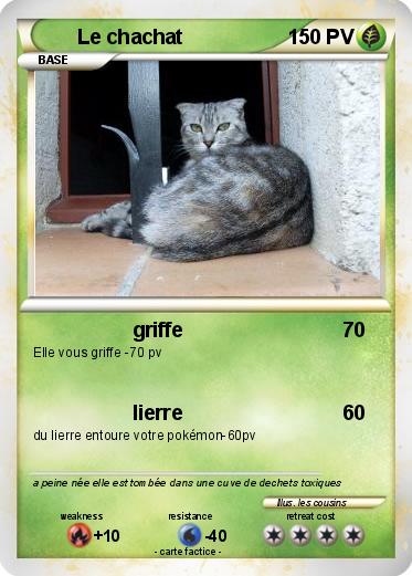 Pokemon Le chachat