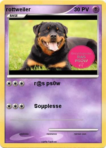 Pokemon rottweiler