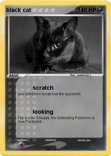 Pokemon black cat