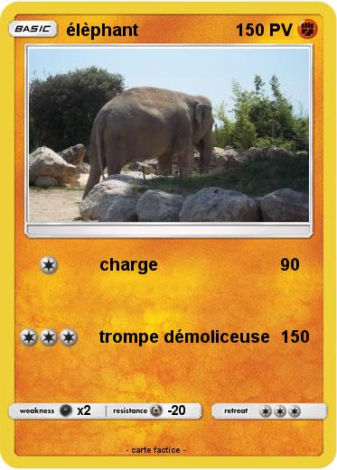 Pokemon élèphant