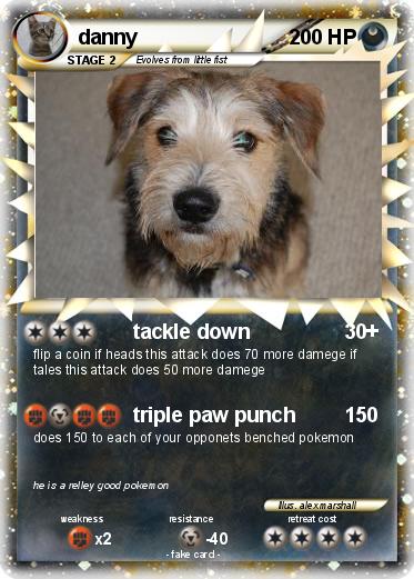 Pokemon danny