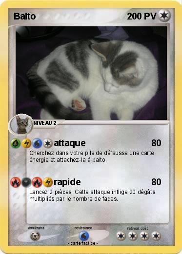 Pokemon Balto
