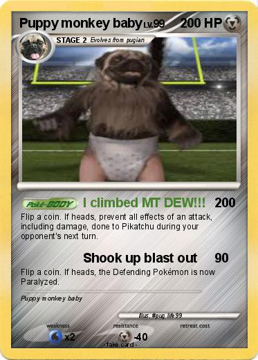 Pokemon Puppy monkey baby