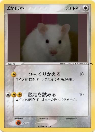 Pokemon ぽかぽか