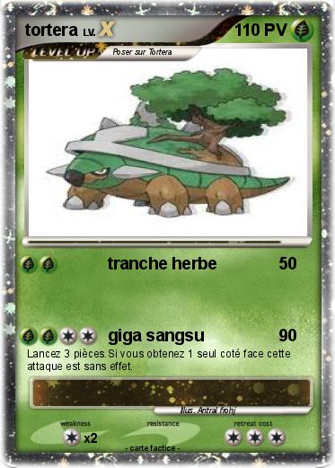 Pokemon tortera