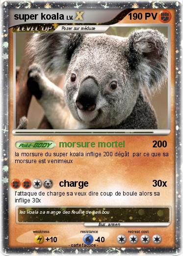 Pokemon super koala