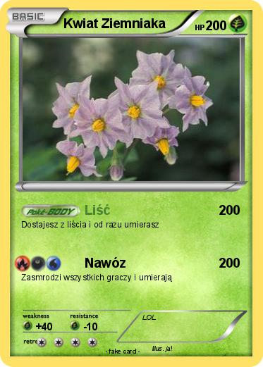 Pokemon Kwiat Ziemniaka