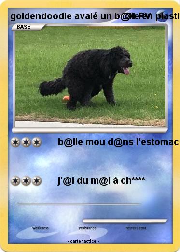 Pokemon goldendoodle avalé un b@lle en plastique mou 2018