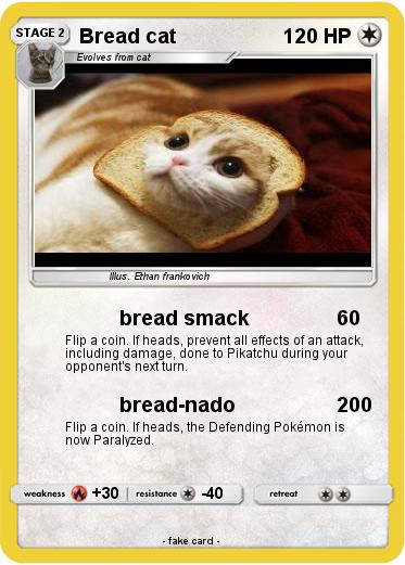 Pokemon Bread cat