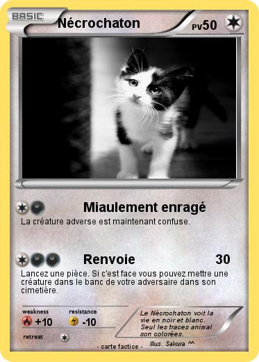 Pokemon Nécrochaton