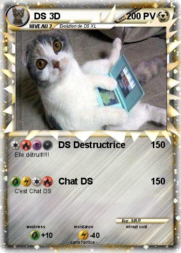 Pokemon DS 3D