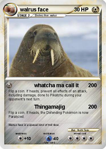 Pokemon walrus face