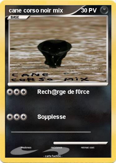 Pokemon cane corso noir mix