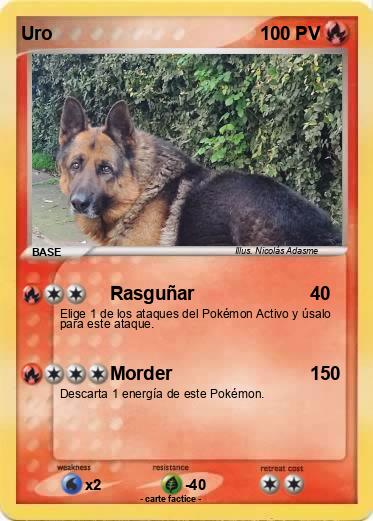 Pokemon Uro