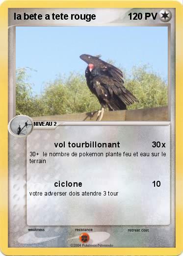 Pokemon la bete a tete rouge