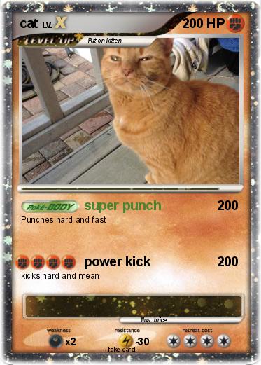 Pokemon cat