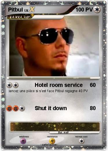 Pokemon Pitbul