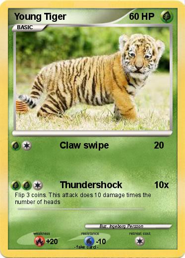 Pokemon Young Tiger