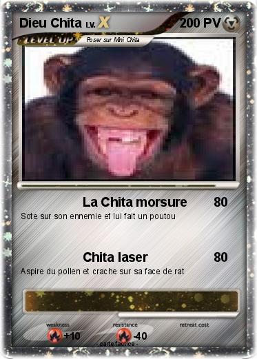 Pokemon Dieu Chita