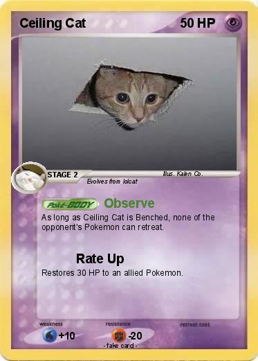 Pokemon Ceiling Cat