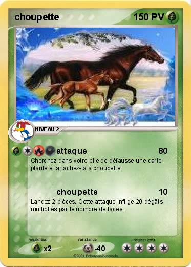 Pokemon choupette 