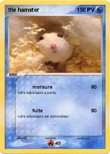 Pokemon the hamster
